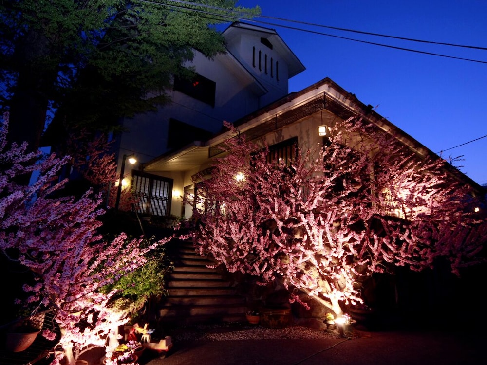 岩下温泉旅館 甲府