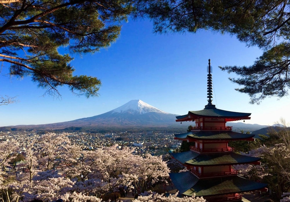 フジマツヤマベース 甲府