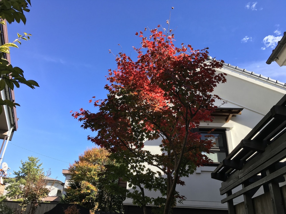蔵の宿松屋 甲府