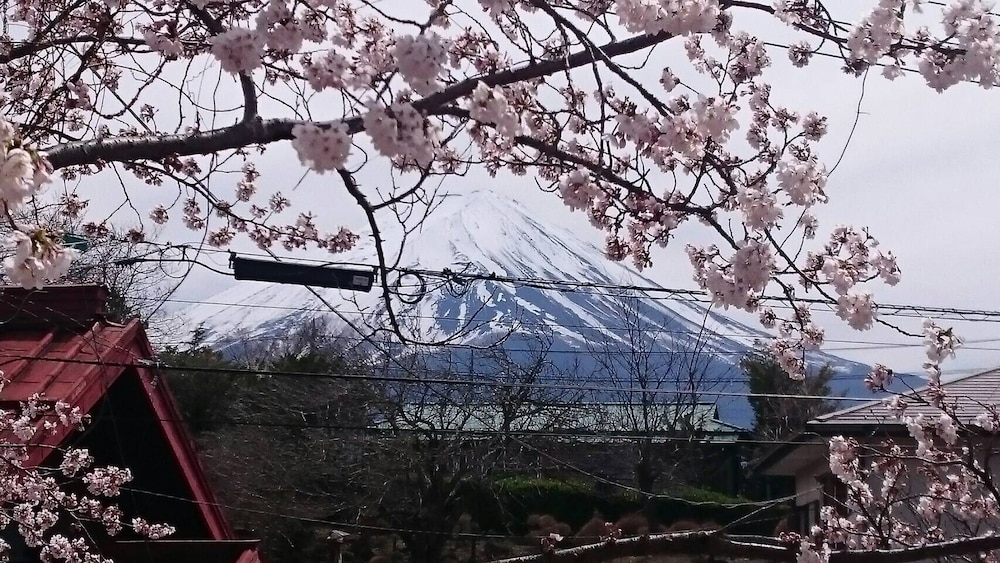FUJI SAKURA HOUSE 甲府