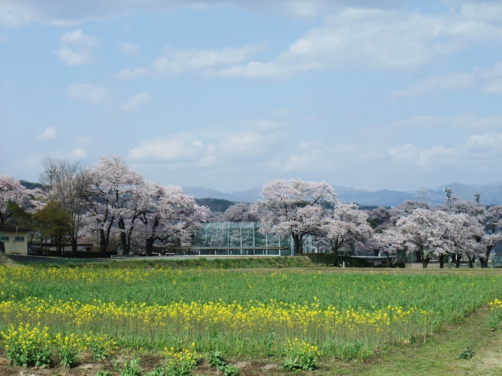 ガストホフ アスコット 甲府