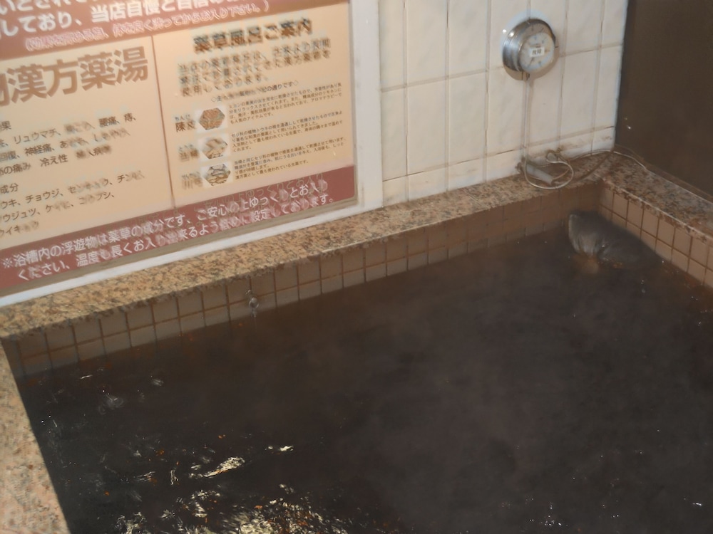 HOTEL& 薬草風呂 ホテル スターらんど 甲府