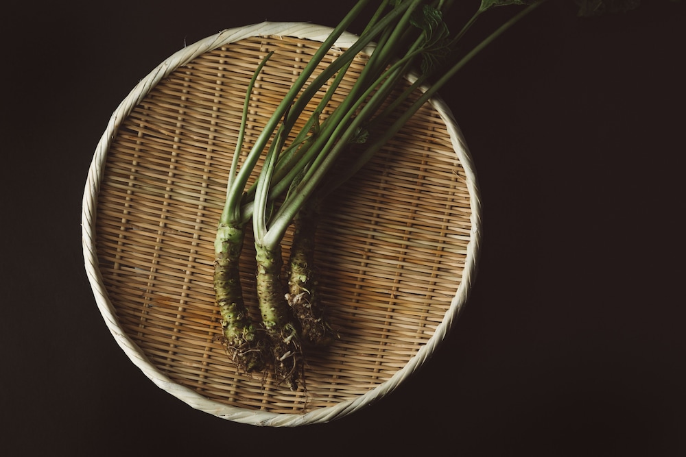 NIPPONIA 小菅 源流の村 甲府