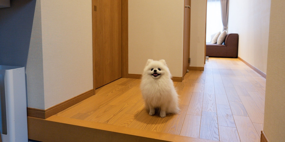 RAKUTEN STAY VILLA 八ヶ岳 甲府