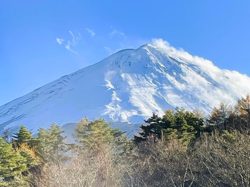 THE SENSE FUJI 甲府