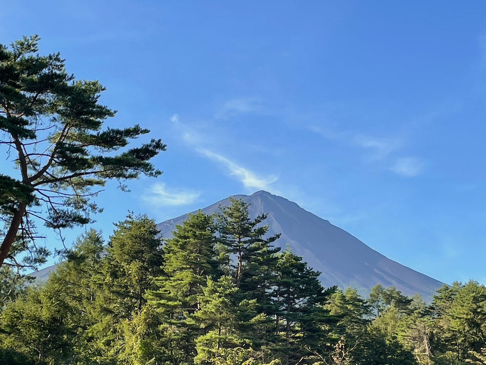 THE SENSE FUJI 甲府