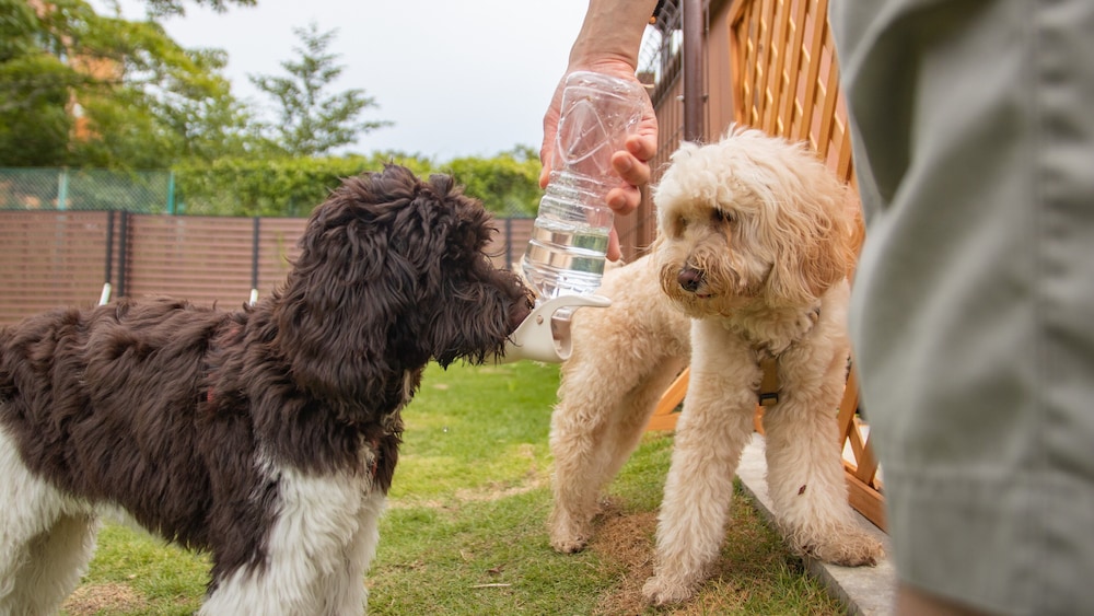 GRAMERCY VILLAGE 山中湖 甲府