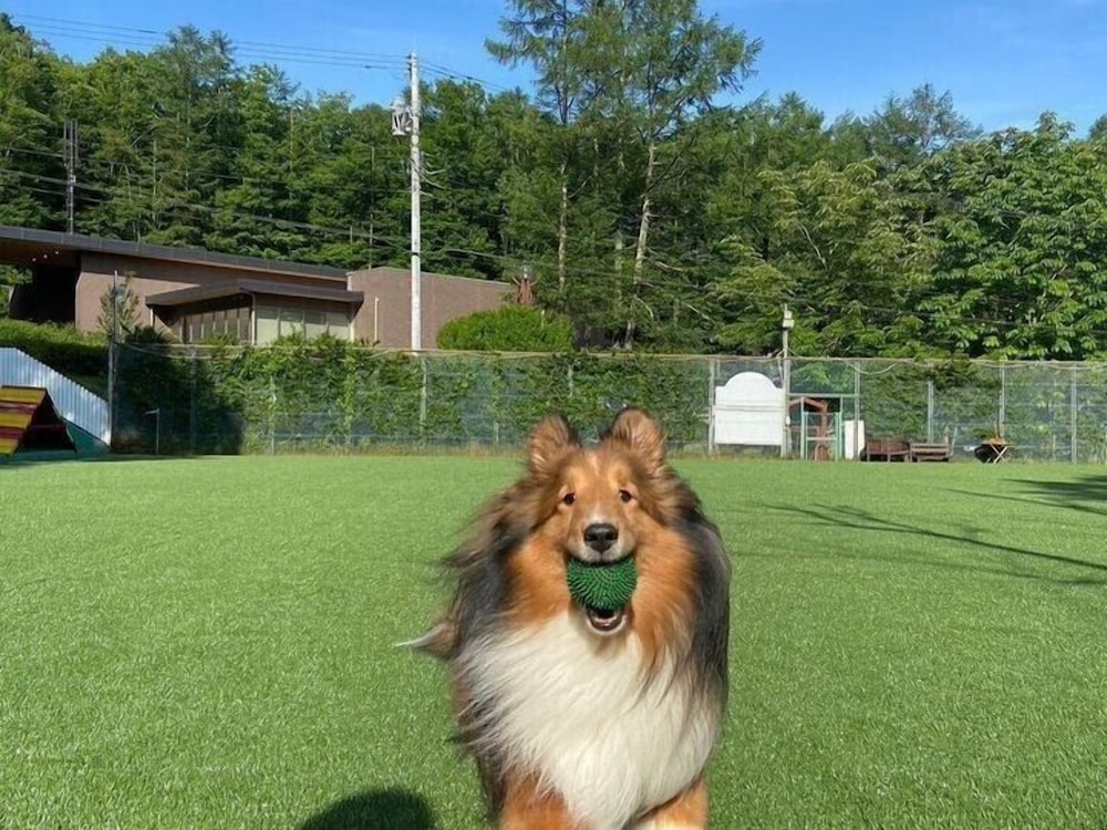 八ヶ岳わんわんパラダイスコテージ 甲府