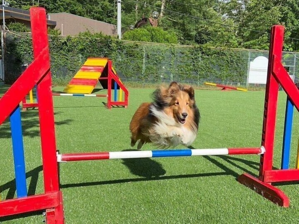 八ヶ岳わんわんパラダイスコテージ 甲府