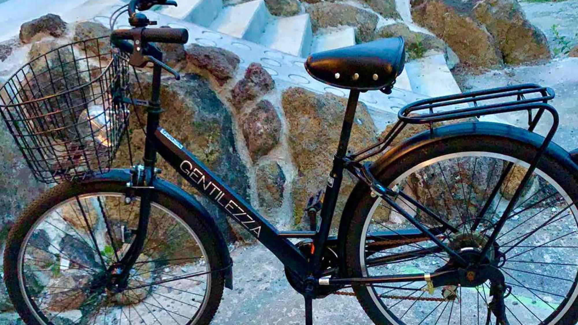 貸別荘 ウサギの郷 甲府