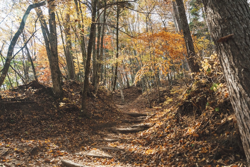 KOBUCHIZAWA ART&WELLNESS IKIGAI - VILLAS 甲府