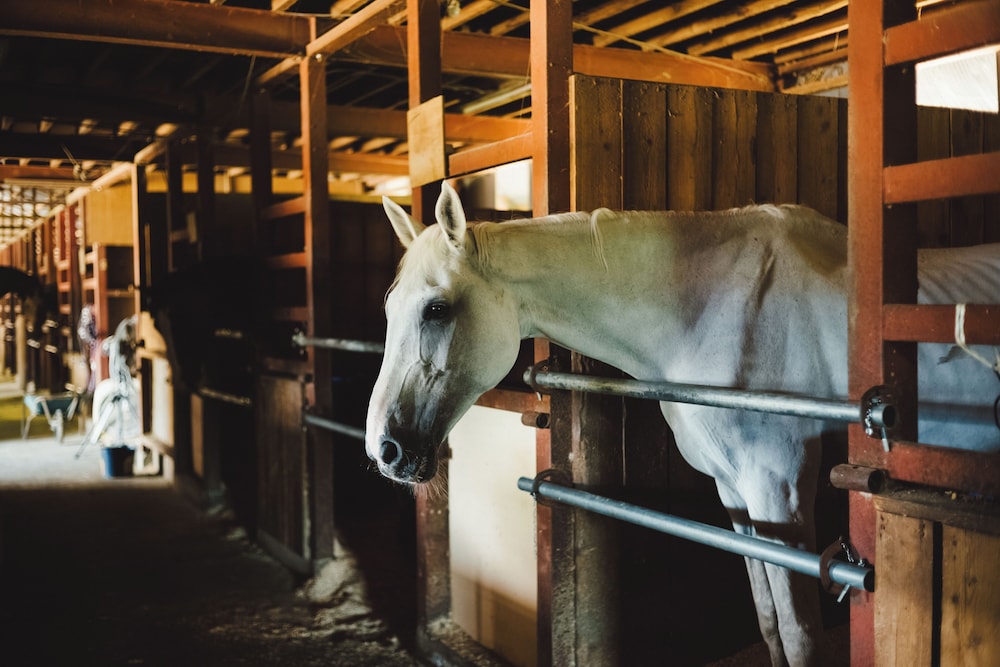 KOBUCHIZAWA ART&WELLNESS IKIGAI - VILLAS 甲府