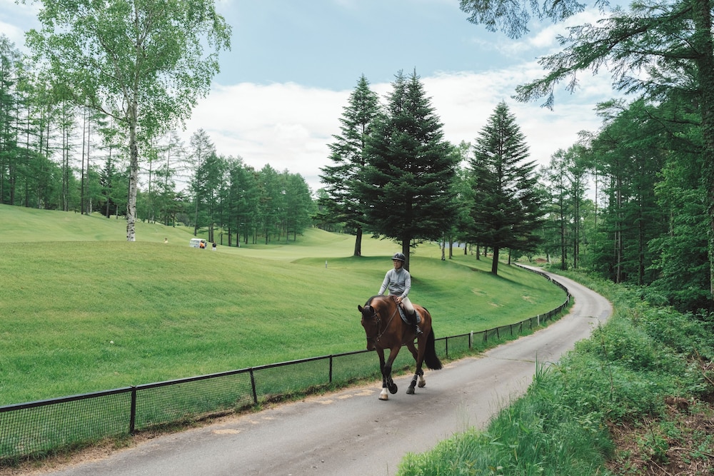 KOBUCHIZAWA ART&WELLNESS IKIGAI - VILLAS 甲府