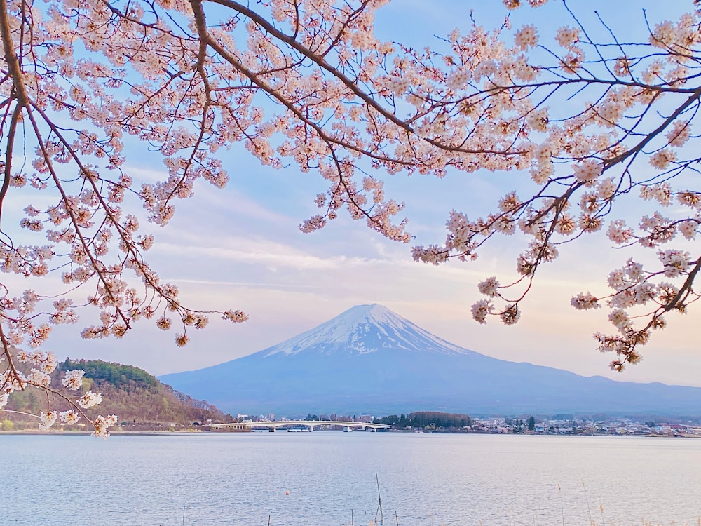 HAOSTAY河口湖美術館前. 甲府