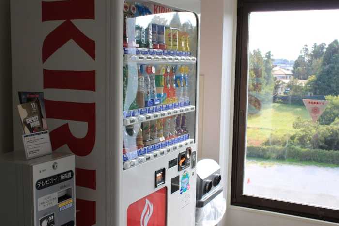 スカイハートホテル成田 千葉