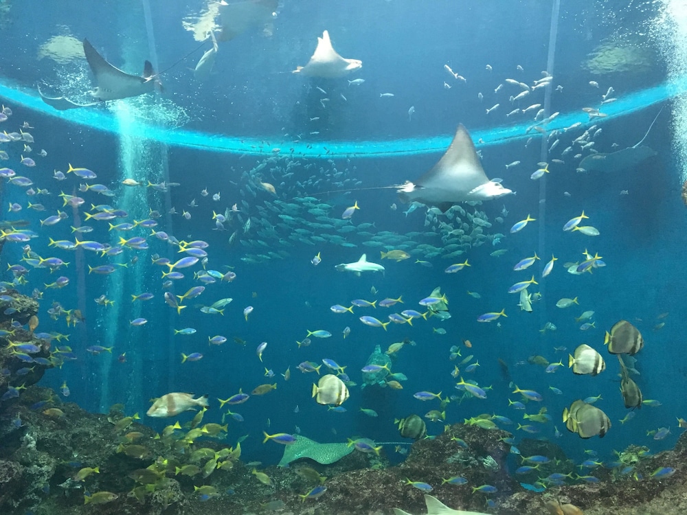 鴨川シーワールドホテル 千葉