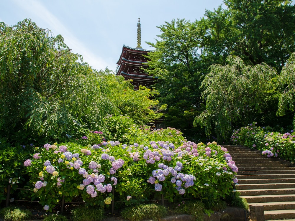 東横 INN 松戸駅東口 千葉