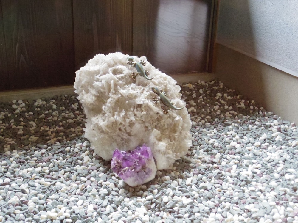 里の箱庭　LODGE365 千葉