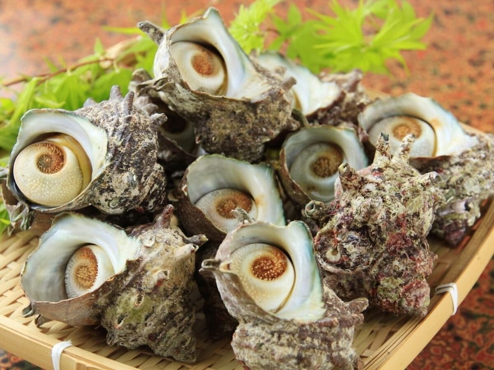 房総白浜ウミサトホテル 千葉