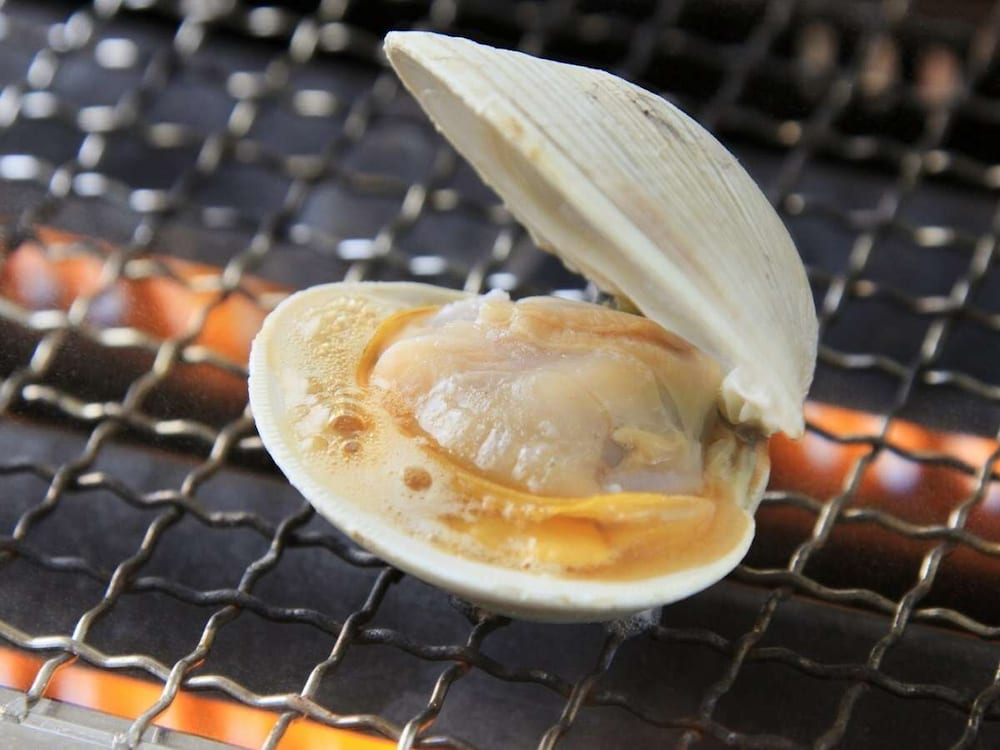 房総白浜ウミサトホテル 千葉