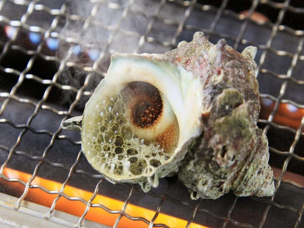 房総白浜ウミサトホテル 千葉
