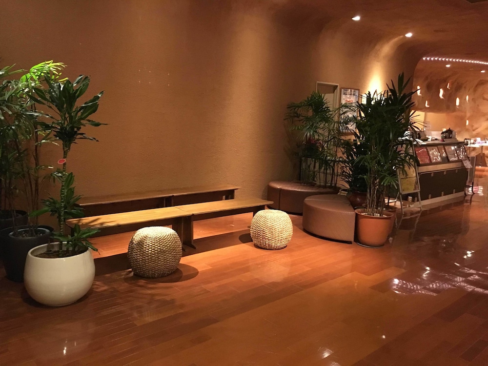 スパ & ホテル 舞浜 ユーラシア 千葉