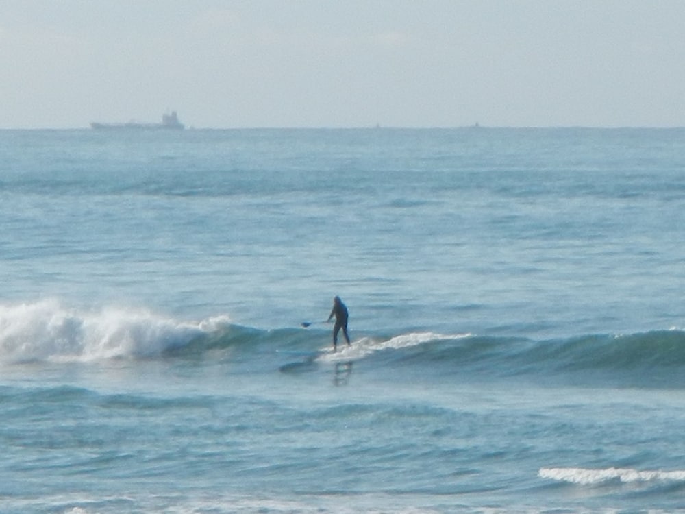 FLYING SUMO SURF COMPANY 千葉