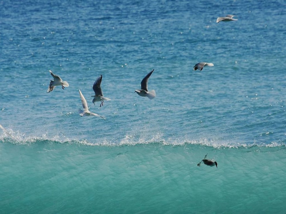 潮騒リゾート鴨川 千葉