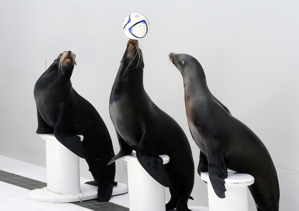 潮騒リゾート鴨川 千葉