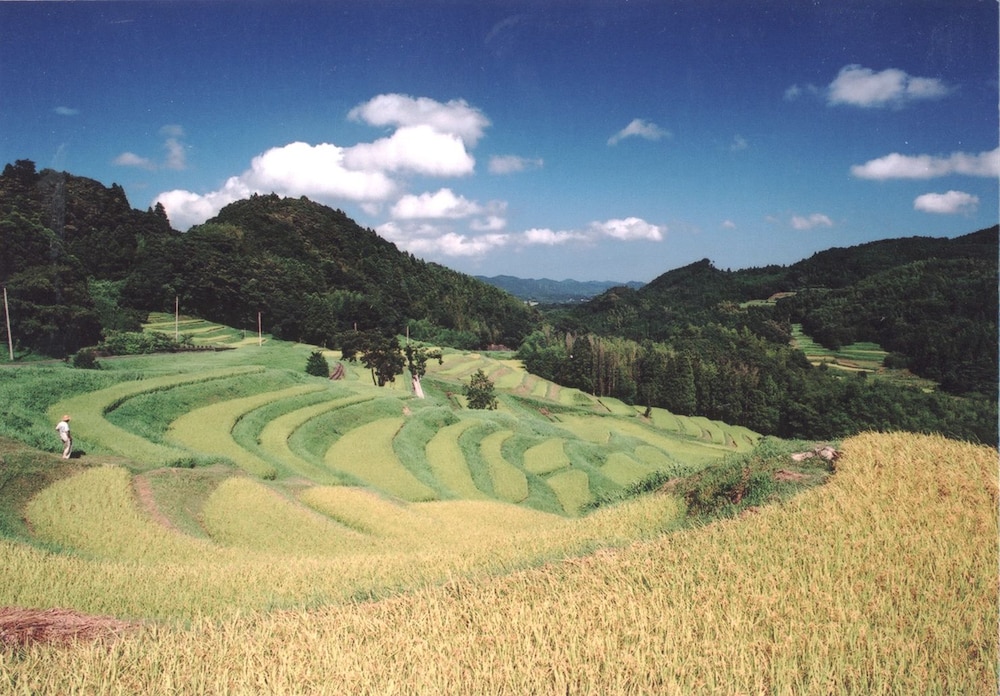 潮騒リゾート鴨川 千葉