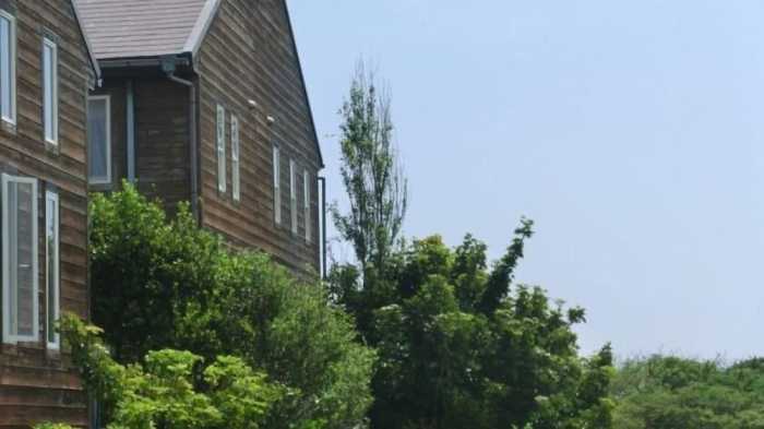 SOUTH BIRD INN 千葉