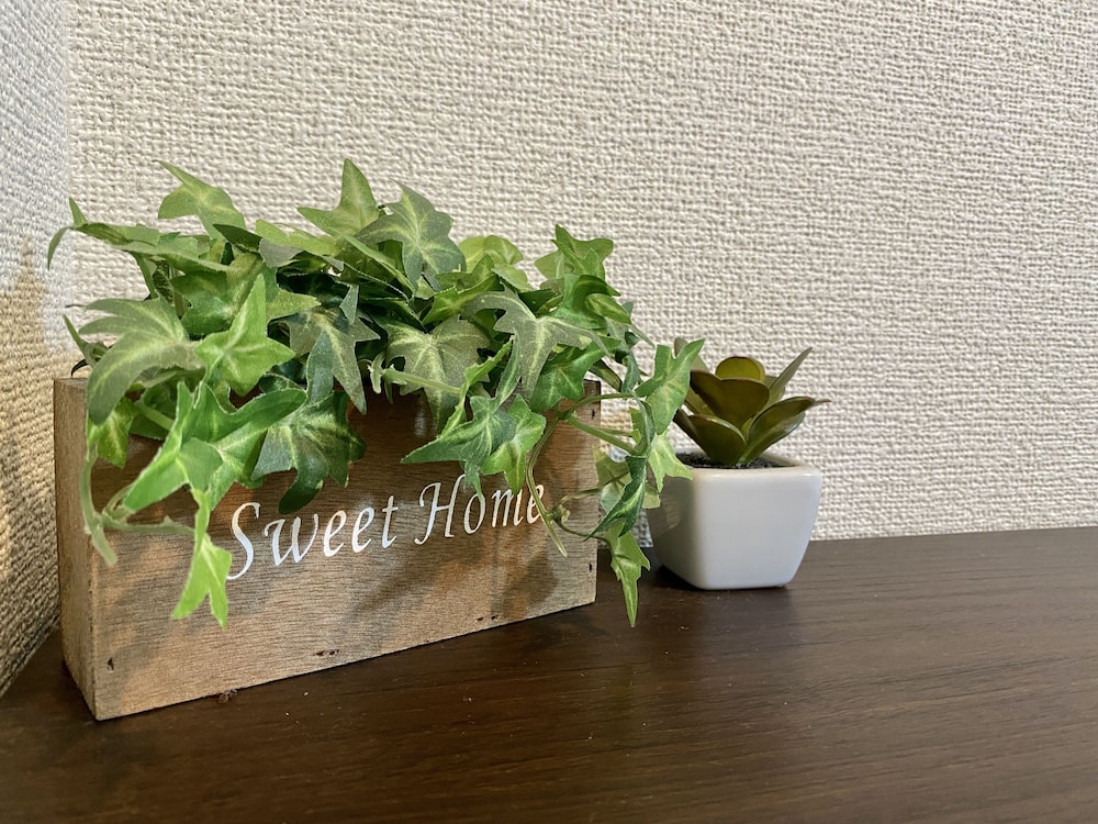 NOMAD松戸宿 テイクファイブ 千葉