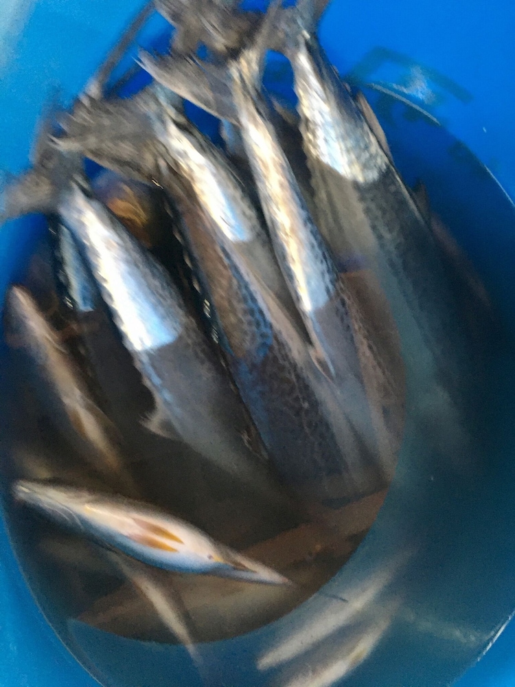 オアシス和田浦 千葉