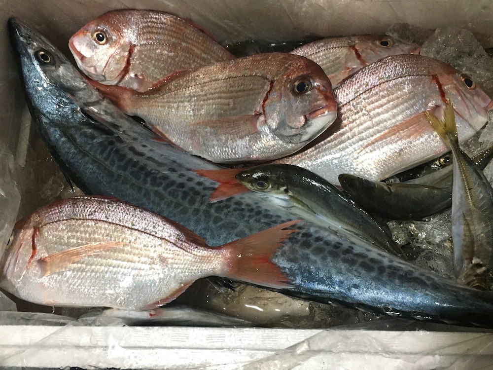 オアシス和田浦 千葉