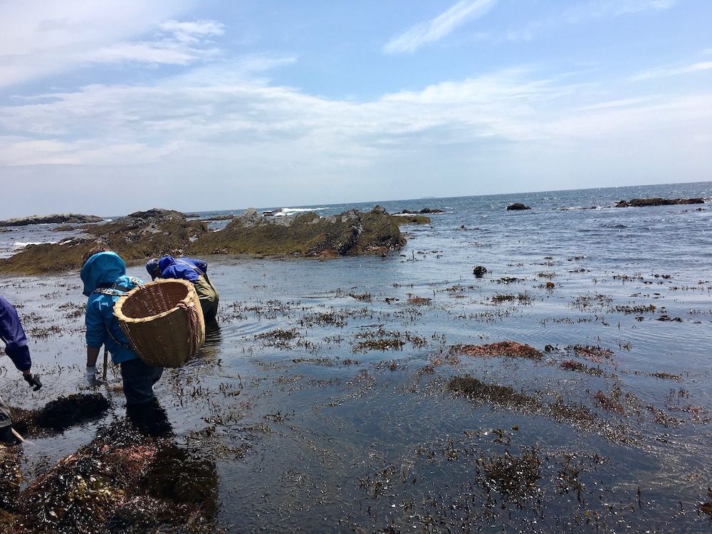 オアシス和田浦 千葉