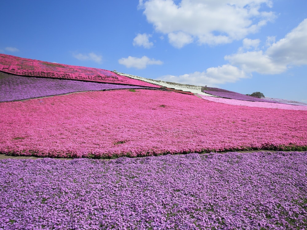パプリカホテルです 千葉
