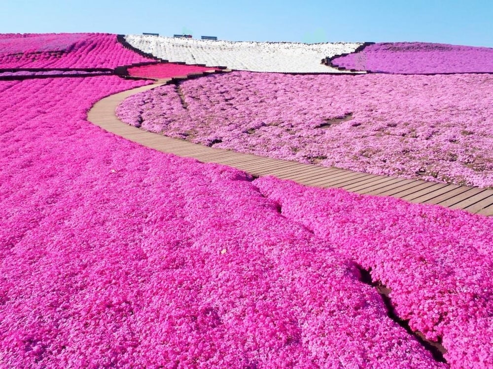パプリカホテルです 千葉