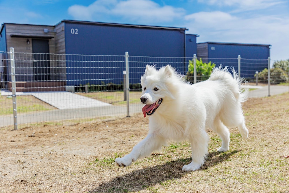 亀の井ホテル 九十九里 千葉