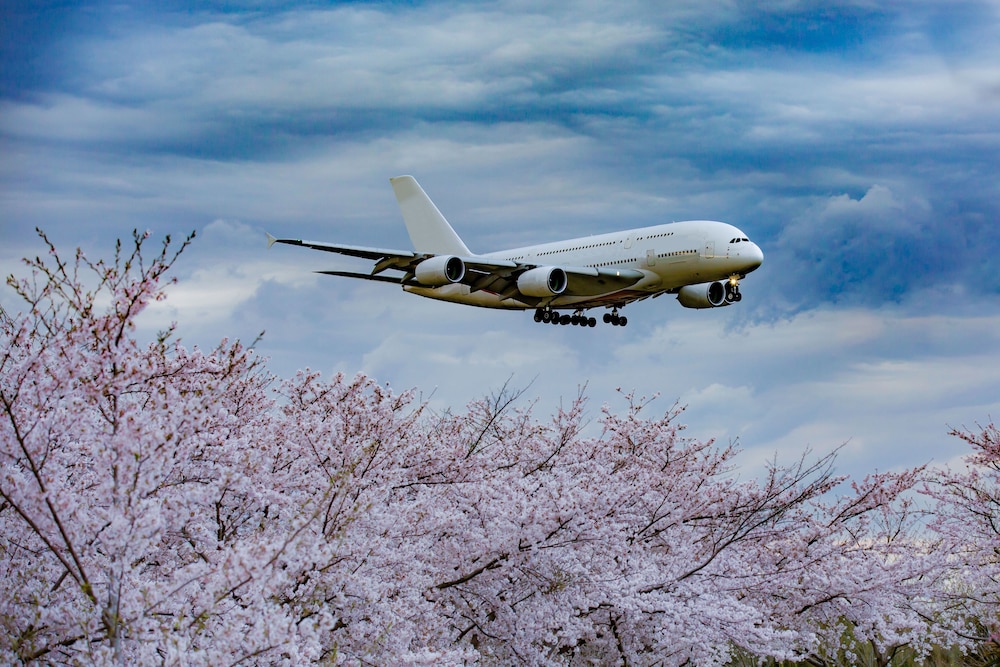 ますがたや旅館 千葉