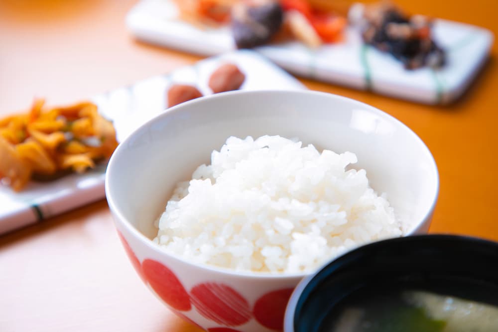 成田AICエアポートホテル 千葉