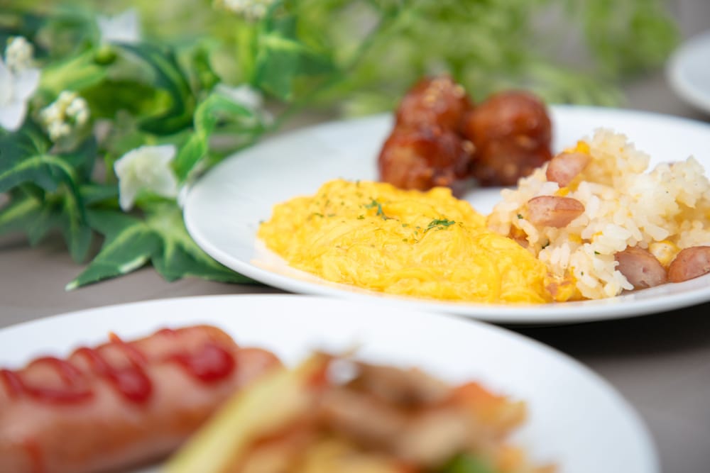 成田AICエアポートホテル 千葉