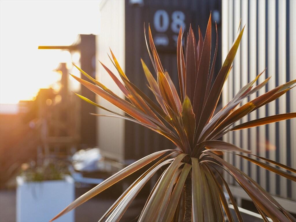 セルジュ・トラミ・コーストサイド 千葉