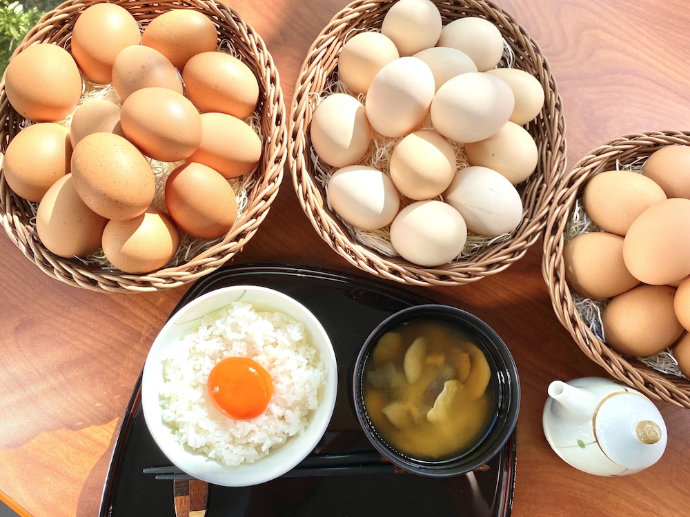 天童ホテル 天童