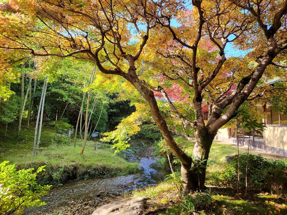 三養荘 清水