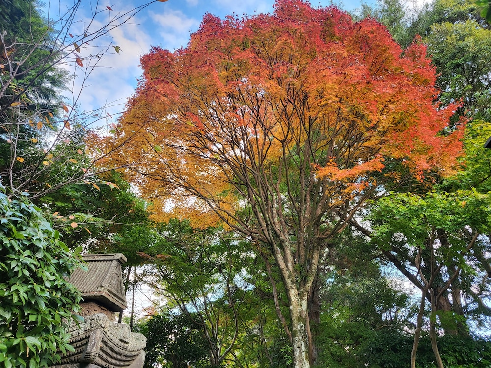 三養荘 清水
