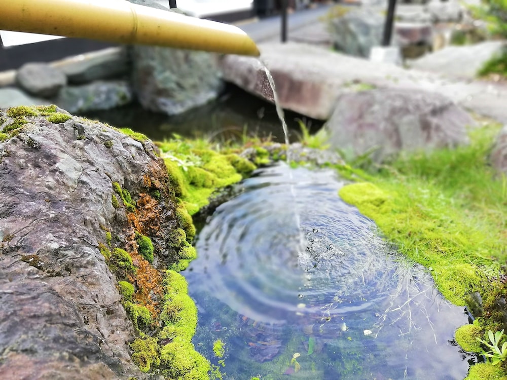 石のや 伊豆長岡 清水