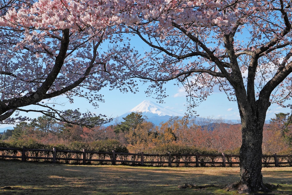 ラフォーレ修善寺 山紫水明 清水