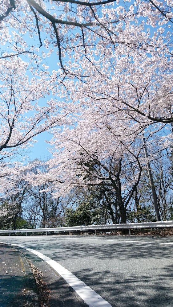 ラフォーレ修善寺 山紫水明 清水