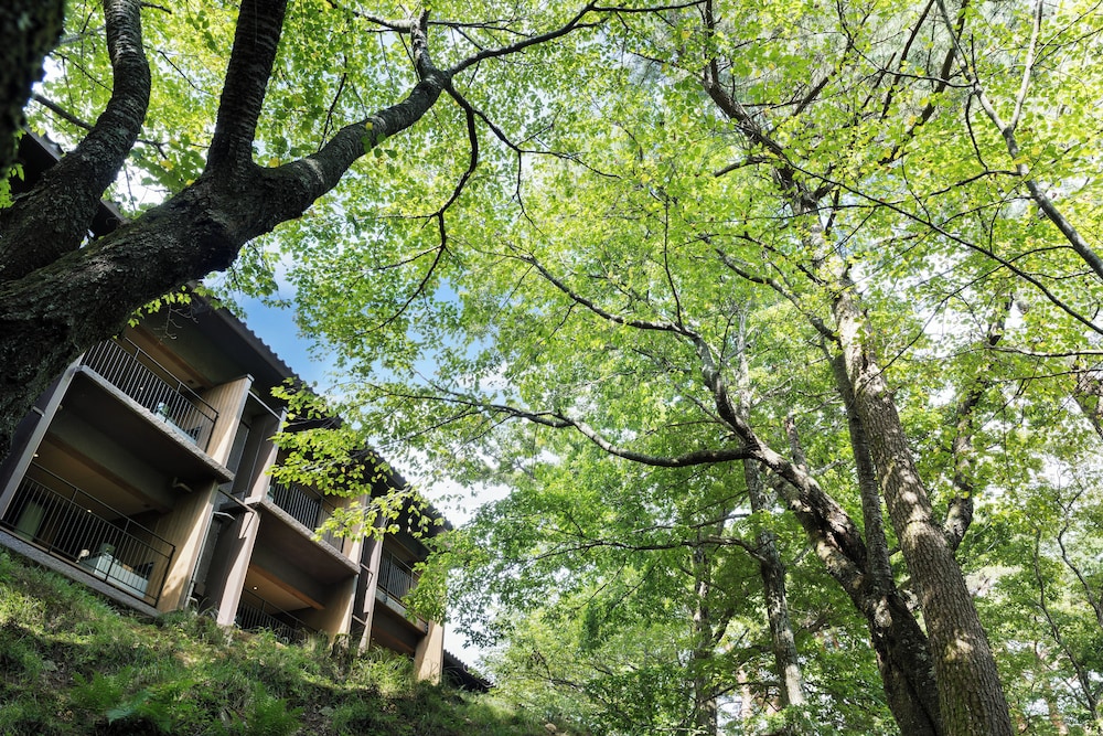 ラフォーレ修善寺 山紫水明 清水