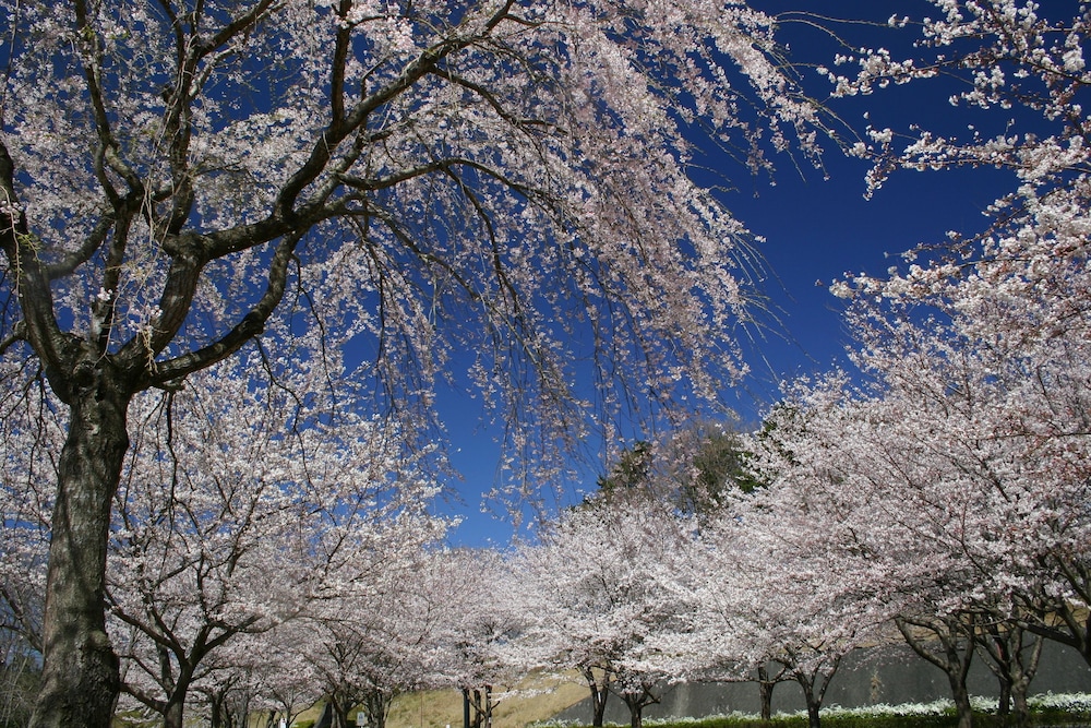 ラフォーレ修善寺 山紫水明 清水